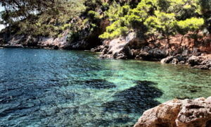 Kayak calanques La Ciotat Expenature