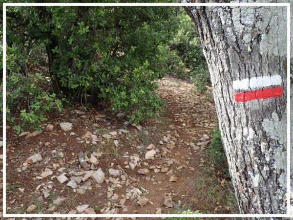 Escapades Trek - Journée – Image 3