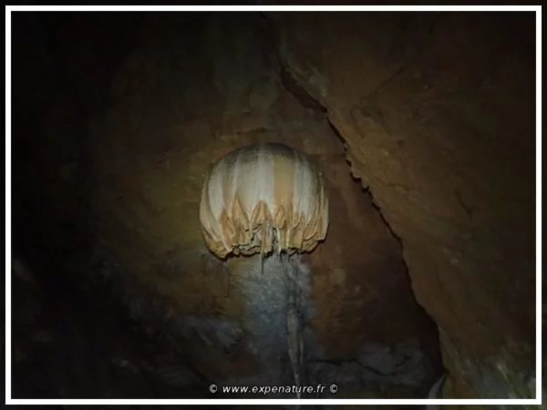 Caving Escapades Grotte de La Castelette - Day trip - Image 3