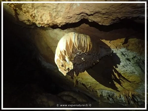 Caving Escapades Grotte de La Castelette - Day trip - Image 2