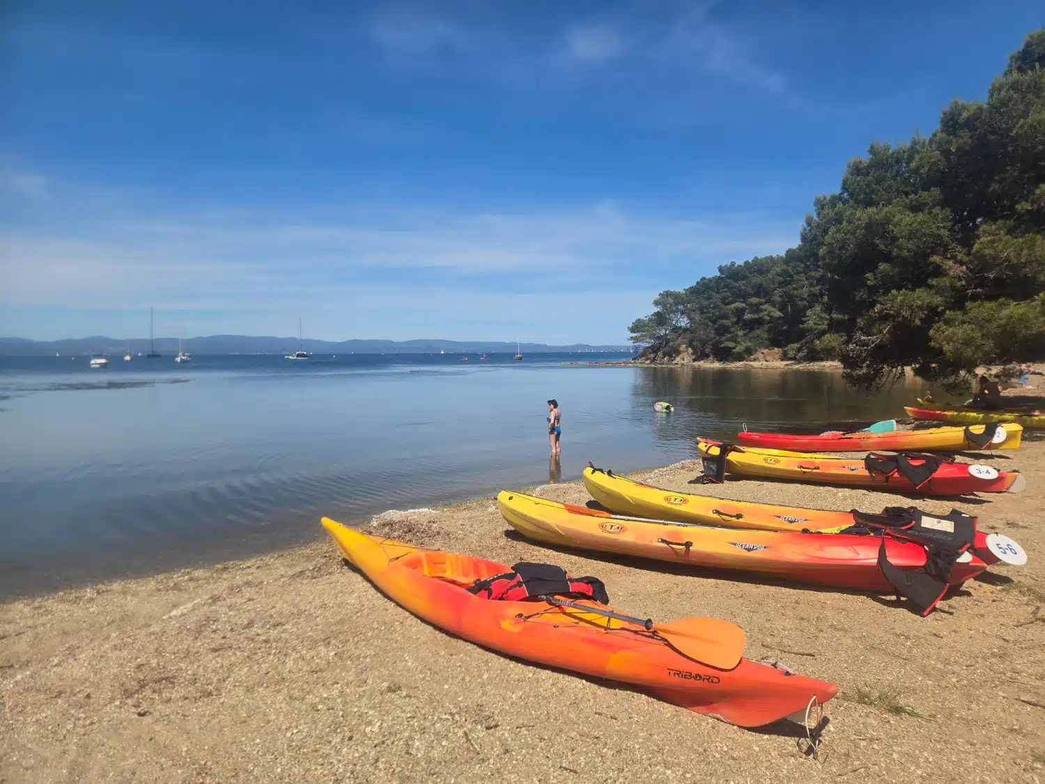visita guidata in kayak giens