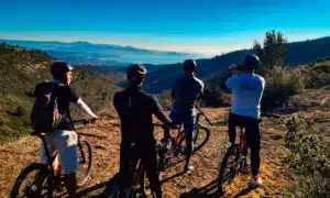 VTT