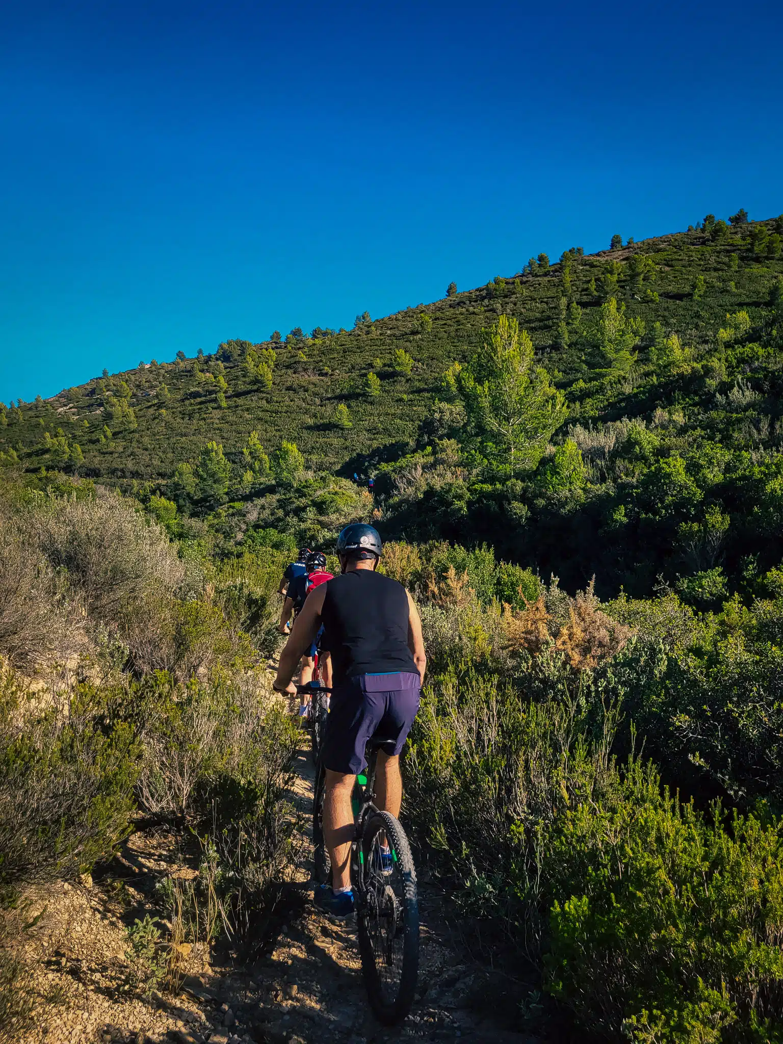 verkennen van de natuur in de heuvels en kreken van la ciotat en cassis per fiets, mountainbike en elektrische fiets ook bekend als voutain fiets voor bedrijf seminars VTT embiez