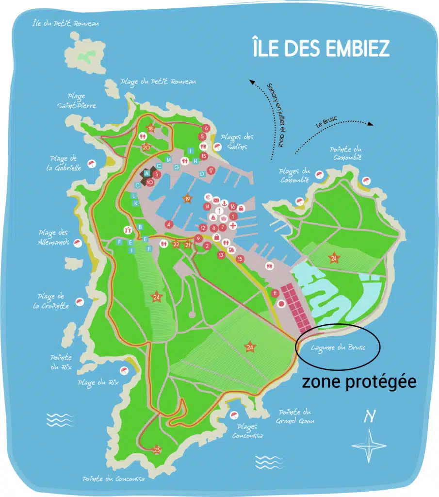 ile des embiez team building seminar kayak and nature activity Wild coast and turquoise sea Panorama sunset Embiez Secret beaches Embiez islands Preserved coastline Embiez Unspoilt nature Embiez islands