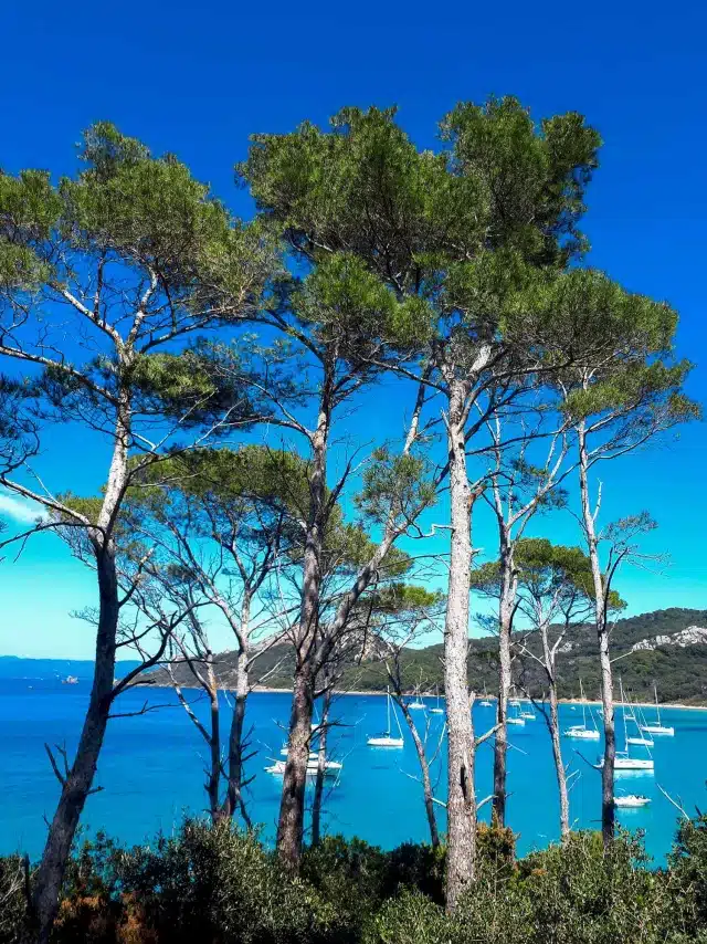 chasse au trésor orientation team building avec expenature porquerolles