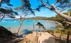 senderismo porquerolles recorrido a pie por la isla recorrido de team building